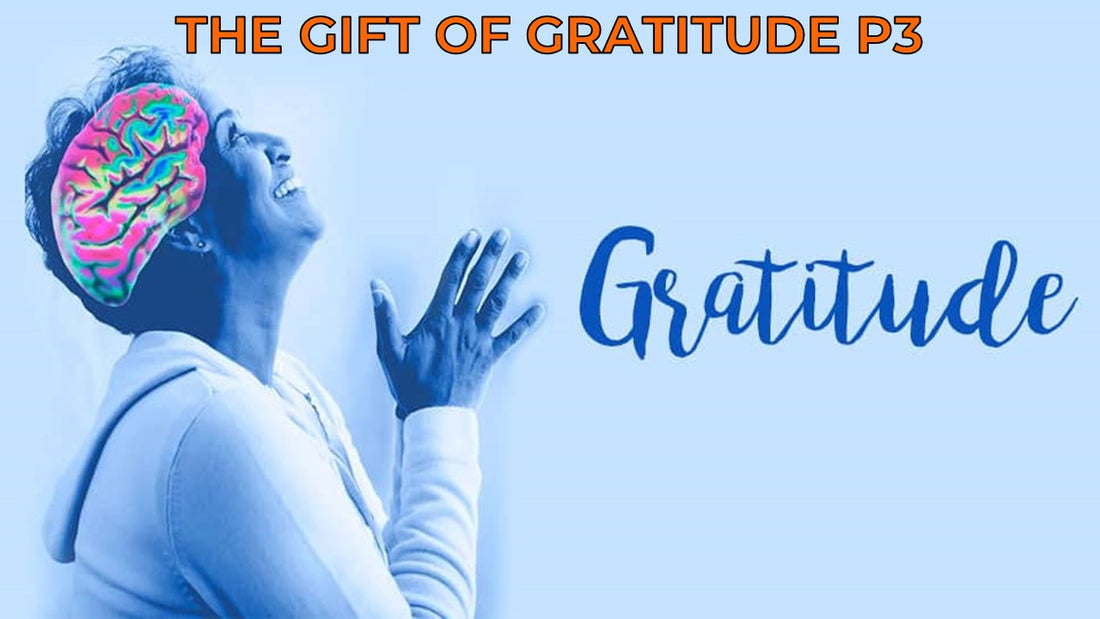 The Gift of Gratitude (P3)